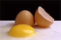 صادرات تخم‌مرغ هم ممنوع شد